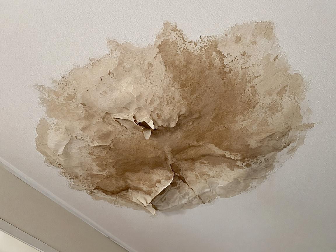 Ceiling Water Damage Repair Vancouver